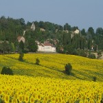 Vue du village.JPG